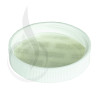 White CT Ribbed Closure 38-400 with PS-22 Liner alternate view